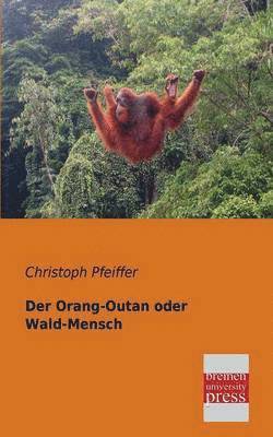 Orang-Outan Oder Wald-Mensch