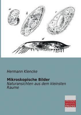 Mikroskopische Bilder 1