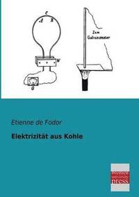 bokomslag Elektrizitat Aus Kohle
