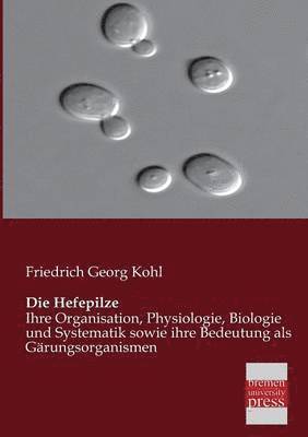 bokomslag Hefepilze