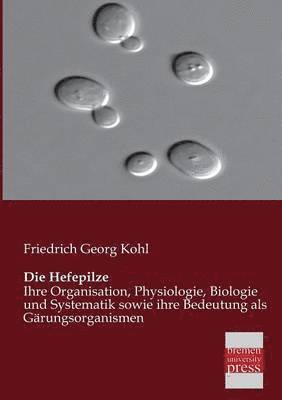 Die Hefepilze 1