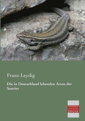 in Deutschland Lebenden Arten Der Saurier