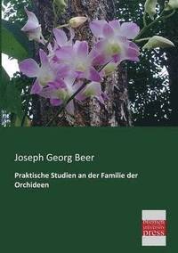 bokomslag Praktische Studien an der Familie der Orchideen