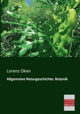 Lorenz Oken - Allgemeine Naturgeschichte, Häftad