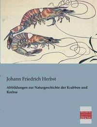 bokomslag Abbildungen Zur Naturgeschichte Der Krabben Und Krebse