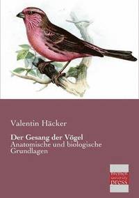 bokomslag Der Gesang Der Vogel