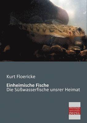 bokomslag Einheimische Fische