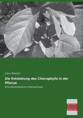 bokomslag Entstehung Des Chlorophylls in Der Pflanze
