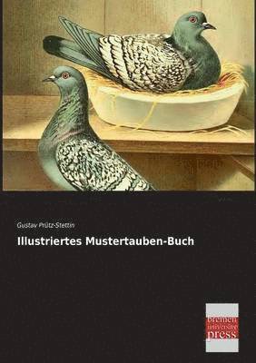 Illustriertes Mustertauben-Buch 1