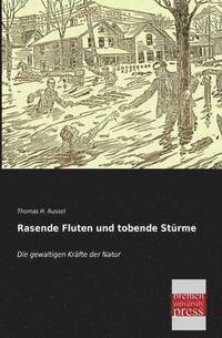 bokomslag Rasende Fluten Und Tobende Sturme