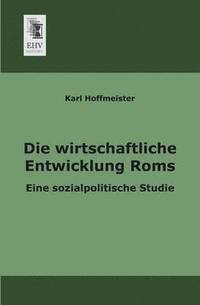 bokomslag Wirtschaftliche Entwicklung ROMs