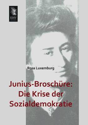 Junius-Broschure 1