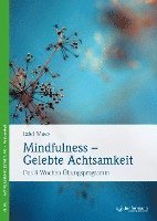 bokomslag Mindfulness - gelebte Achtsamkeit