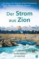 bokomslag Der Strom aus Zion