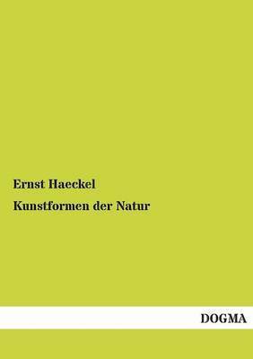 Kunstformen Der Natur 1