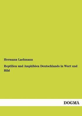 bokomslag Reptilien Und Amphibien Deutschlands in Wort Und Bild