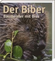 bokomslag Der Biber