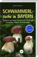bokomslag Schwammerlsuche in Bayern