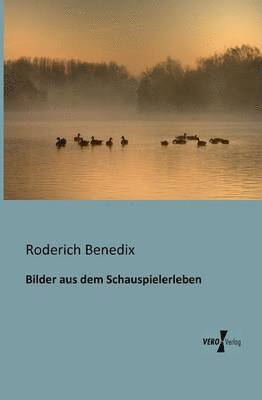 Roderich Benedix - Bilder aus dem Schauspielerleben, Häftad