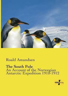 The South Pole 1