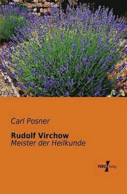 Carl Posner - Rudolf Virchow, Häftad