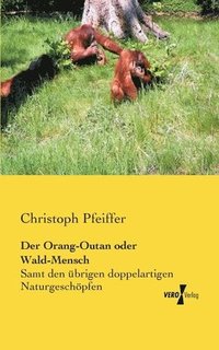 bokomslag Der Orang-Outan oder Wald-Mensch