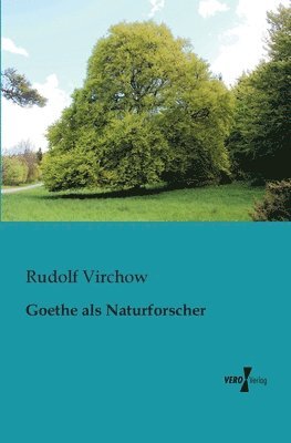 bokomslag Goethe als Naturforscher