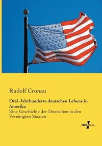 bokomslag Drei Jahrhunderte deutschen Lebens in Amerika