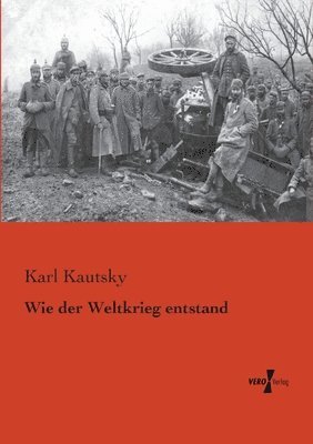 bokomslag Wie der Weltkrieg entstand