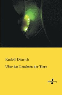 bokomslag Über das Leuchten der Tiere