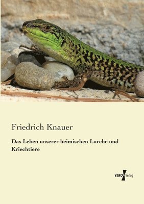 bokomslag Das Leben unserer heimischen Lurche und Kriechtiere