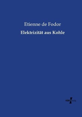 bokomslag Elektrizität aus Kohle