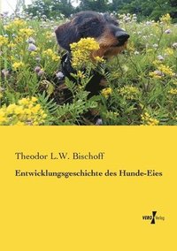 bokomslag Entwicklungsgeschichte des Hunde-Eies