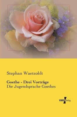 bokomslag Goethe - Drei Vorträge