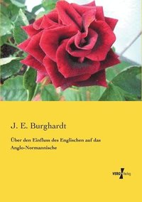 bokomslag ber den Einfluss des Englischen auf das Anglo-Normannische