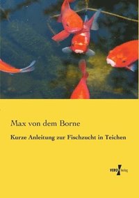 bokomslag Kurze Anleitung zur Fischzucht in Teichen