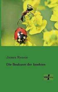 bokomslag Baukunst der Insekten