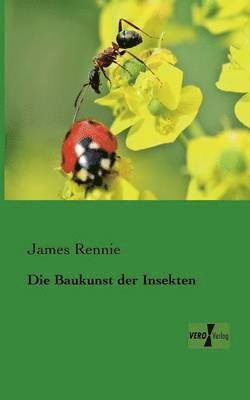 bokomslag Die Baukunst der Insekten