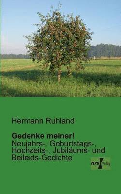 Hermann Ruhland - Gedenke meiner!, Häftad