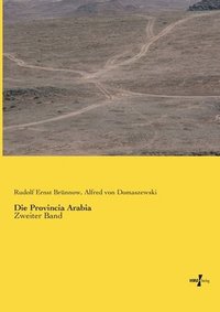 bokomslag Die Provincia Arabia