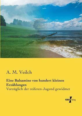bokomslag Eine Balsamine von hundert kleinen Erzählungen