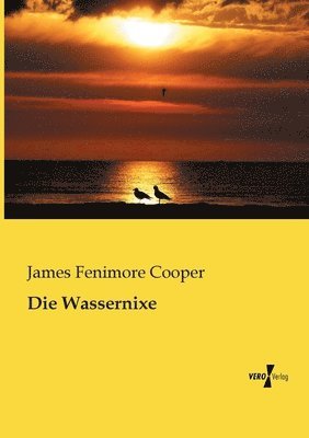 bokomslag Wassernixe