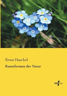 bokomslag Kunstformen der Natur