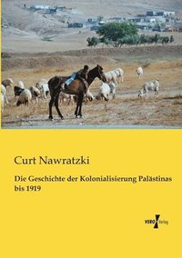 bokomslag Die Geschichte der Kolonialisierung Palstinas bis 1919