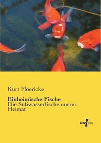 bokomslag Einheimische Fische