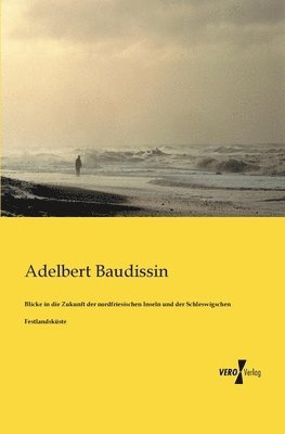 Adelbert Baudissin - Blicke in die Zukunft der nordfriesischen Inseln und der Schleswigschen Festlandsküste, Häftad