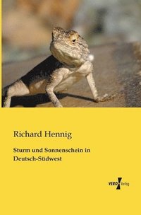 bokomslag Sturm und Sonnenschein in Deutsch-Sdwest