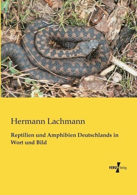 Reptilien und Amphibien Deutschlands in Wort und Bild 1