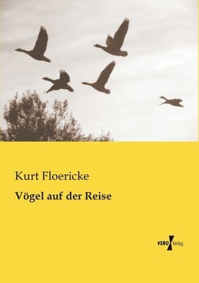bokomslag Vögel auf der Reise