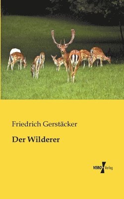 Der Wilderer 1